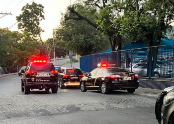 PF deflagra operação contra tráfico de drogas em Valadares e mais duas cidades