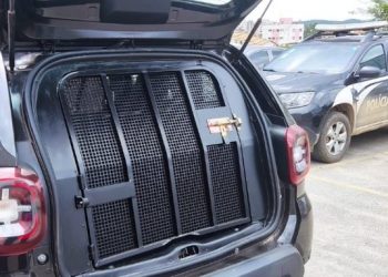 Foragido condenado por homicídio e tráfico em Peçanha é preso no Espírito Santo