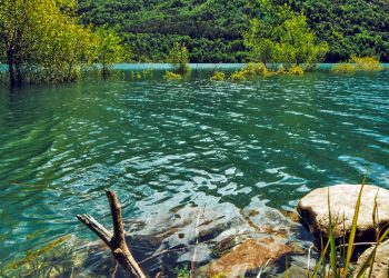 O traço e a tração do amanhã