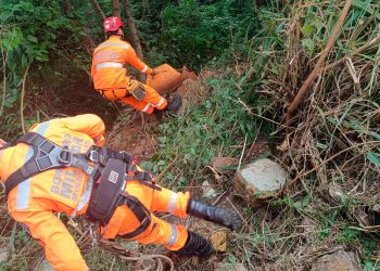 Idoso é encontrado vivo em mata após 7 dias desaparecido