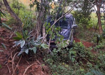 Caminhonete cai em ribanceira na MGC-259, em Valadares