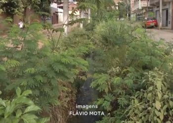 Arboviroses: sujeira em galeria e em área vaga preocupa moradores de 2 bairros de Valadares