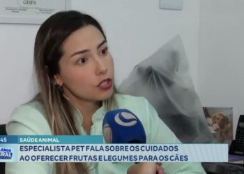 Saúde animal: especialista fala sobre os cuidados ao oferecer frutas e legumes para os cães