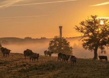 Guanhães sedia primeira exposição agropecuária