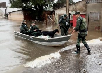 Cão resgatado em RS por militares de Valadares em meio às inundações