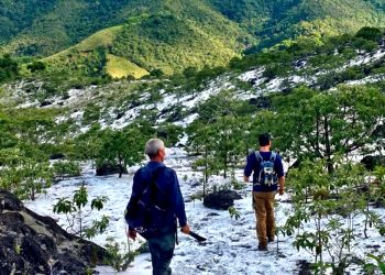 Coluna MG | 15 de maio de 2024