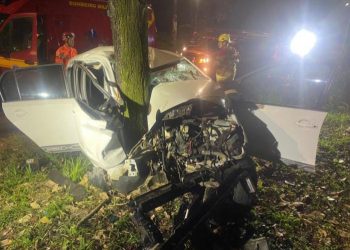 Acidente na BR-381 deixa condutor gravemente ferido