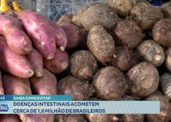 Saiba como evitar doenças intestinais que acometem cerca de 1,6 milhão de brasileiros