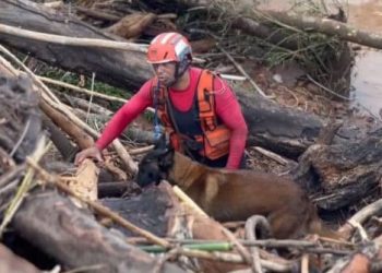 Militar do Corpo de Bombeiros em GV atua no RS com cão farejador