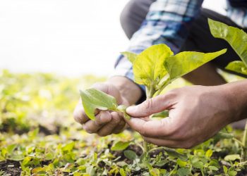 Sema realiza mutirão de emissão do CAF em distritos de Valadares