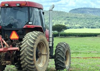 Coluna MG | 11 de junho de 2024