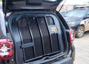 Homem é preso após tentar empréstimo usando documento falso em Valadares