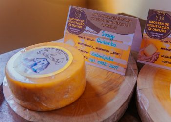 Queijo do Serro será atração no Festival do Queijo Minas Artesanal