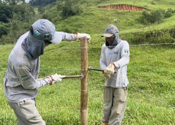 CBH Doce investe R$ 2 milhões em projetos de Pagamento por Serviços Ambientais