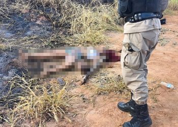 Adolescente é morta a pauladas e pedradas; PM apreende três suspeitas do crime