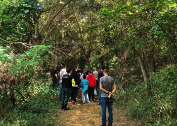 Espécies de aves da região são apresentadas a estudantes no Parque Municipal