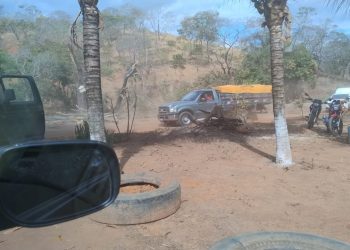 Abelhas atacam motoristas e pedestres em trecho próximo à Alpercata