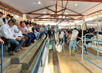 Coluna MG | 01 de julho de 2024