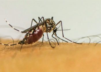 Após 5 meses, Minas Gerais decreta fim da emergência em saúde pública