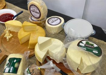 Queijo de Campanário ganha medalha de ouro em competição nacional
