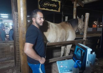 ExpoAgro 2024: estande da UNIVALE realiza orientações técnicas sobre coleta de solo para análise 