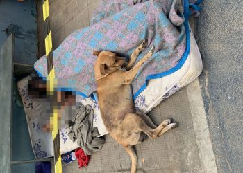 Homem em situação de rua morre e vira-lata caramelo se mantém fiel ao lado dele