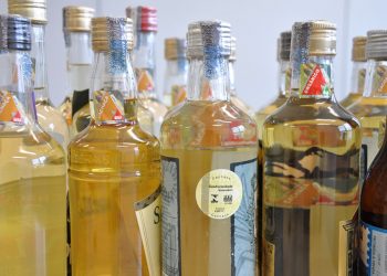 Concurso Cachaças Mineiras 2024 supreende em números de incrições