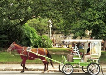 Coluna MG | 29 de agosto de 2024