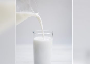 Levando a palavra da APLV