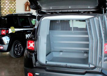 Polícia prende suspeito de estuprar mulher em Ipatinga