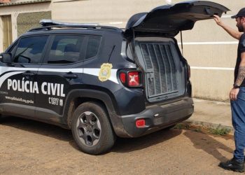 PCMG prende suspeito de abusar sexualmente do filho