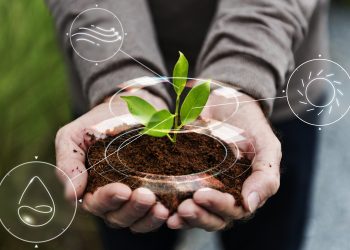 Programa Aprendiz Agro CENIBRA abre vagas para jovens de 17 a 23 anos