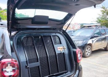 Polícia Civil prende homem de 61 anos após descobrir troca de mensagens com criança