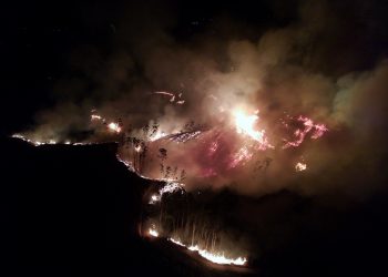 Chega de Fogo na Floresta: CENIBRA intensifica ações contra incêndios florestais