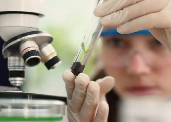 Prêmio de Ciência voltado para mulheres e meninas abre inscrições 