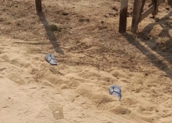 Pai e filho são assassinados em propriedade rural