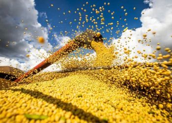 Clima adverso reduz em 21,4 milhões de toneladas a safra de grãos