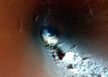 Bombeiros resgatam filhotes presos dentro de tubulação em Valadares