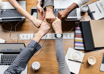 Meus Malvados favoritos