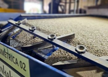 Café mineiro conquista China