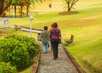 Dia de Finados: Memorial Park contará com programação especial; saiba mais