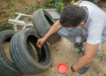 Jardim Alice, Vila Rica, Penha, Novo Horizonte e Vale Pastoril são os bairros com maior índice de foco do Aedes aegypti 