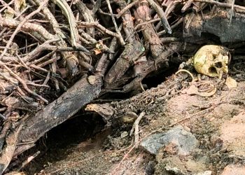 Polícia Civil investiga ossada humana encontrada na Ibituruna