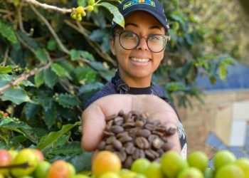 Mineira produz café de R$ 34 mil a saca