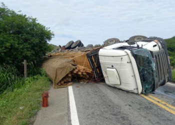 Caminhão carregado com madeira tomba na BR-259