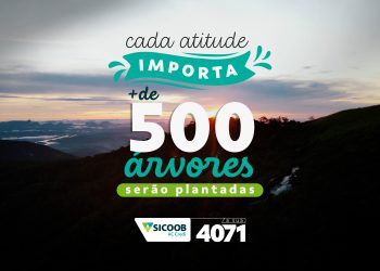 Sicoob AC Credi promove ação de plantio de  + 500 árvores no Pico do Ibituruna