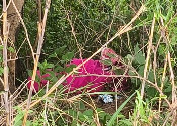 Mulher é encontrada morta enrolada em um cobertor em estrada rural