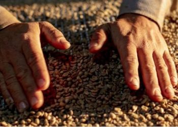 PIB de Minas avança 1,2% no trimestre