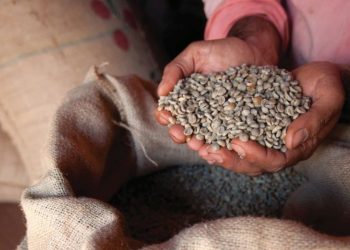 Agro mineiro supera mineração