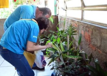 JF intensifica combate à dengue